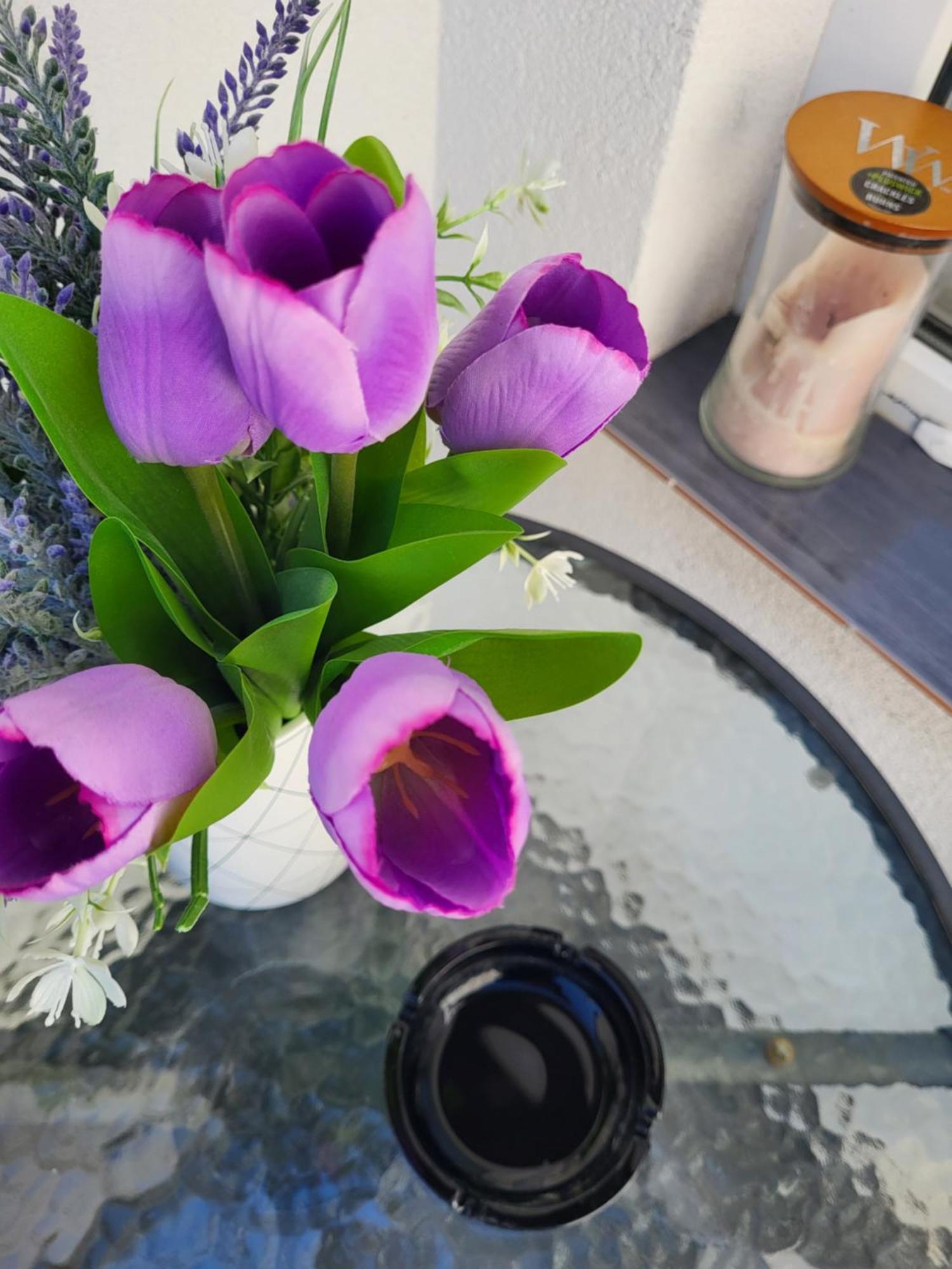 Purple Rooms Μόσταρ Εξωτερικό φωτογραφία