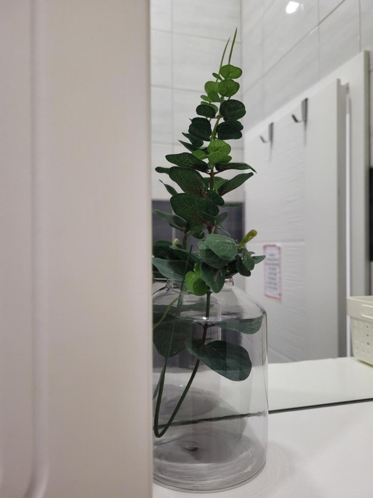 Purple Rooms Μόσταρ Εξωτερικό φωτογραφία